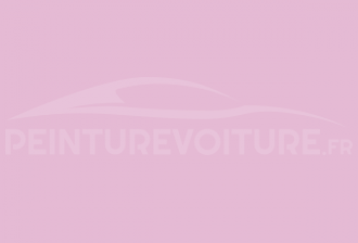 Code peinture Ral Design System 340 80 20 Pink