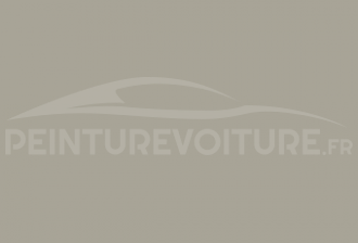 Code peinture Renault 347 Blanc Camaieu