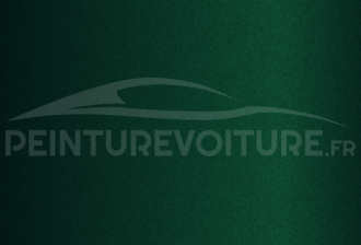 Code peinture Evo 3497 Tannengruen