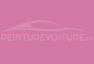 Code peinture Ral Design System 350 60 45 Persian Pink