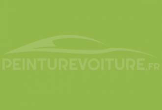 Code peinture Fiat 358/E Verde