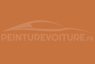 Code peinture Toyota 358 Orange