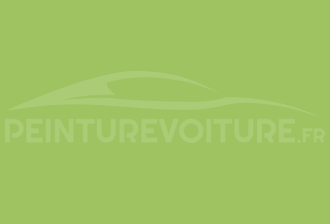 Code peinture Fiat 358 Verde Fluro