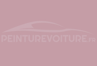 Code peinture Ral Design System 360 70 15 Pink