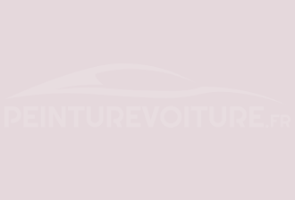 Code peinture Ral Design System 360 90 05 Ice Pink