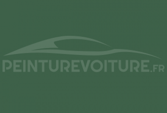 Code peinture Fiat 365/87 Verde Dupont