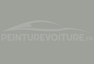 Code peinture Autobianchi 365/B Grigio