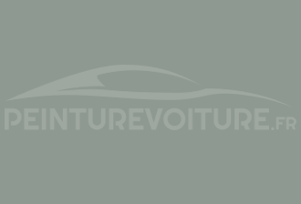Code peinture Renault-Saviem (Vi) 3651 Gris