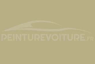 Code peinture Renault 368 Jaune Cortez