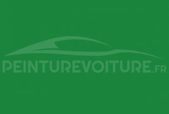 Code peinture Fiat 369/87 Verde Mela