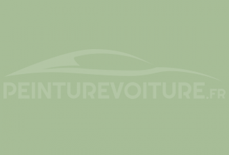 Code peinture Fiat 372/58 Verde