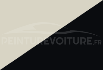 Code peinture Nissan 377 002 + 505