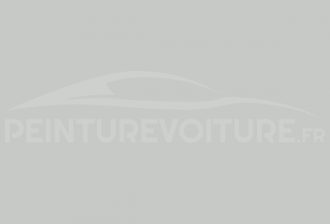 Code peinture Renault 377/66 Blanc