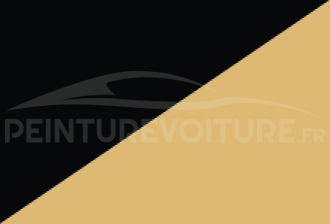 Code peinture Nissan 378 119 + 505