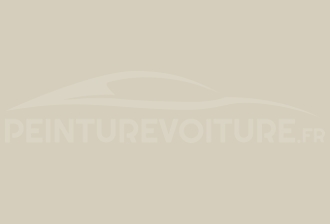 Code peinture Renault 384 Blanc Matt