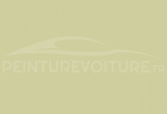 Code peinture Renault 388 Jaune