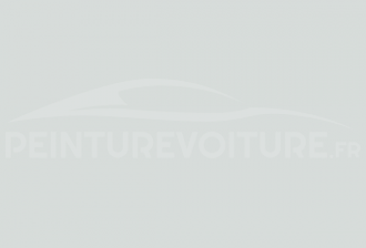 Code peinture Opel 389 (11U) Arctic White