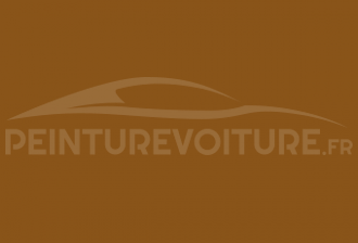 Code peinture Renault 391 Jaune (gold)