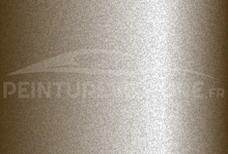 Code peinture Subaru 393 93 Astral Gold
