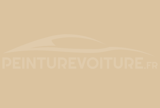 Code peinture Renault 393 Creme