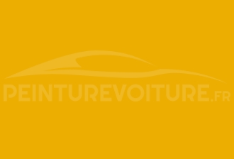 Code peinture Renault 394 Jaune Touring