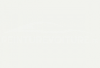Code peinture Renault 397 Blanc