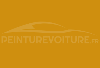 Code peinture Dacia 40005 Jaune
