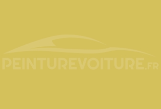Code peinture Opel 406 Chartreuse