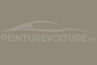 Code peinture Opel 410 Terrabeige