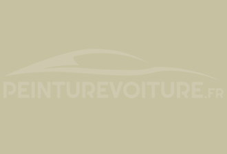 Code peinture Opel 413 Savannagelb