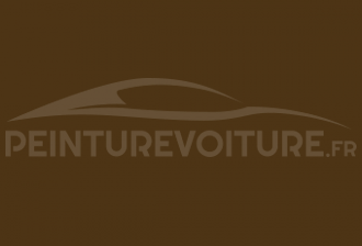Code peinture Toyota 417 Tiger's Eye Amber