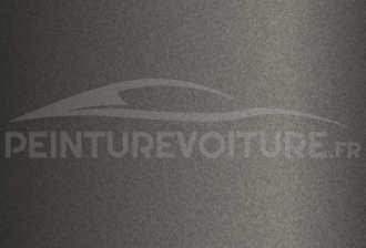 Code peinture Nissan 418 Dark Pewter