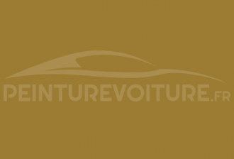 Code peinture Daihatsu 418 Indian Yellow