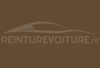 Code peinture Toyota 423 Brown