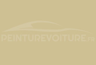 Code peinture Opel 423 Steingelb