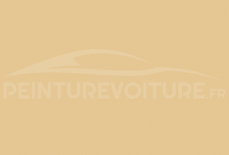 Code peinture Mitsubishi 42603 Cameo