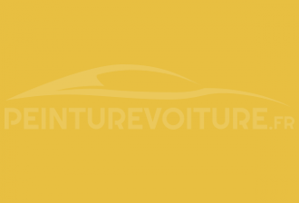 Code peinture Opel 42F Lemon Yellow 4