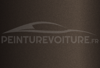 Code peinture Toyota 455 Brown