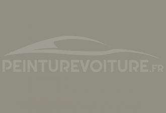 Code peinture Peugeot 456 Gris Matinal