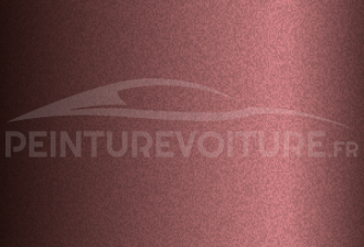 Code peinture Maruti 45M Marron