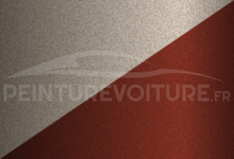 Code peinture Nissan 460 447 + 449