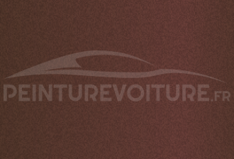 Code peinture Toyota 461 Brown