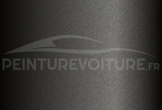 Code peinture Nissan 463 Dark Grey