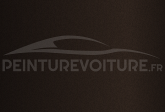 Code peinture Toyota 465 Dark Brown