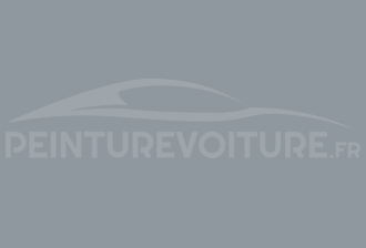 Code peinture Triumph 48 Dolphin Grey