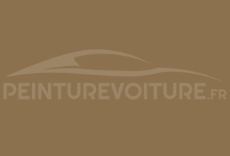Code peinture Toyota 481 Pale Brown