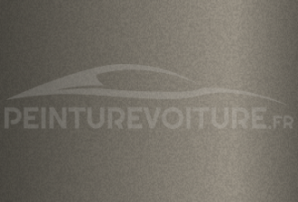 Code peinture Ford 4811 Gris Noble Met