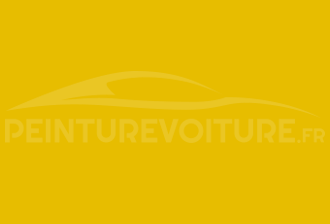 Code peinture Opel 482 Canary Yellow