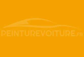 Code peinture Opel 48U 728 Aa Yellow