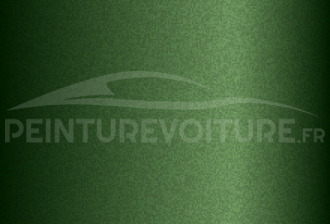 Code peinture Daewoo 48U Brillant Green
